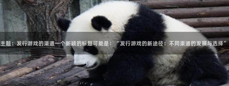 tp钱包里的币怎么卖：主题：发行游戏的渠道一个新颖的标题可能是：“发行游戏的新途径：不同渠道的发展与选择”