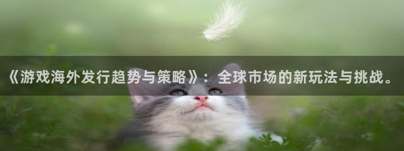 TP官方安卓最新版本更新内容：《游戏海外发行趋势与策略》：全球市场的新玩法与挑战。