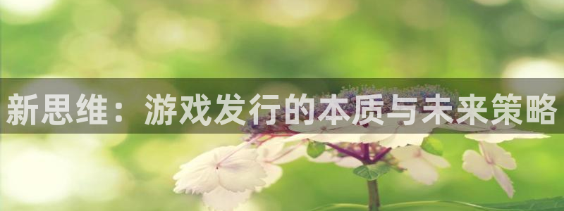 tp钱包eth如何变现：新思维：游戏发行的本质与未来策略