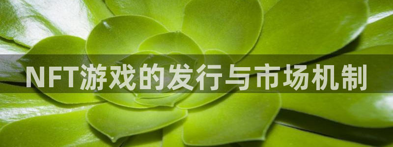TP钱包官方下载- 如何下载TP钱包：NFT游戏的发行与市场机制
