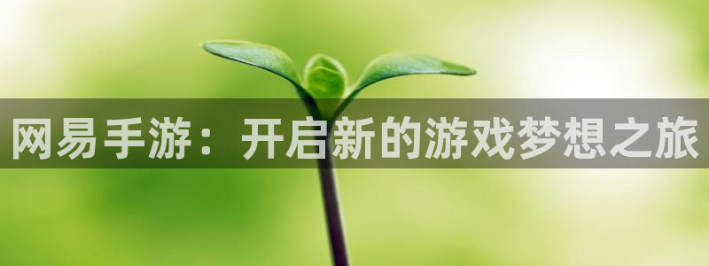 tp钱包无法打开网页：网易手游：开启新的游戏梦想之旅
