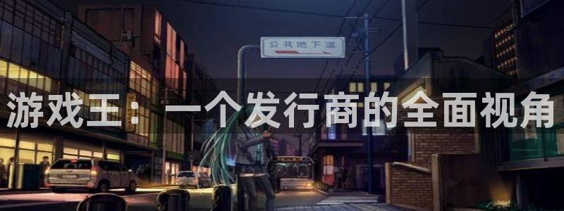 tp钱包的钱怎么变现：游戏王：一个发行商的全面视角