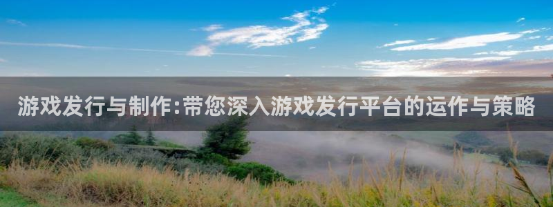tp钱包被盗了怎么找客服：游戏发行与制作:带您深入游戏发行平台的运作与策略