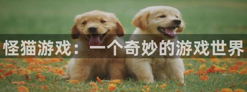 tp钱包app官方版：怪猫游戏：一个奇妙的游戏世界