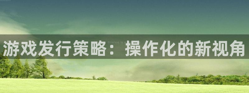 tp钱包有什么用：游戏发行策略：操作化的新视角