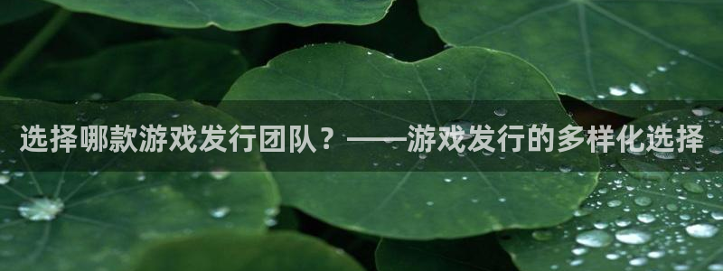 tp钱包怎么提现：选择哪款游戏发行团队？——游戏发行的多样化选择