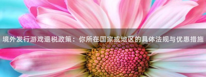 tp钱包被盗查到还在那个人的账户里能追回来吗：境外发行游戏退税政策：你所在国家或地区的具体法规与优惠措施