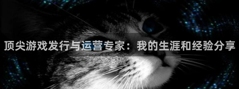 Tp钱包怎样把Usdt转到其他