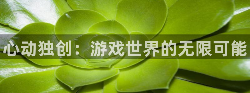 tp钱包官网下载ios版本：心动独创：游戏世界的无限可能