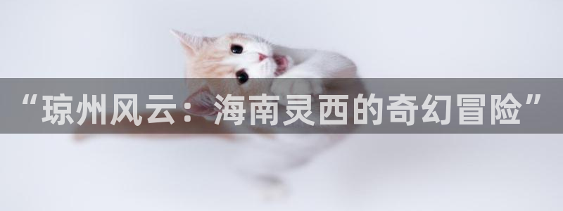 tp钱包一键迁移：“琼州风云：海南灵西的奇幻冒险”