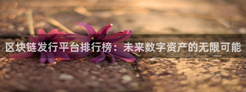 tp钱包nft交易网址