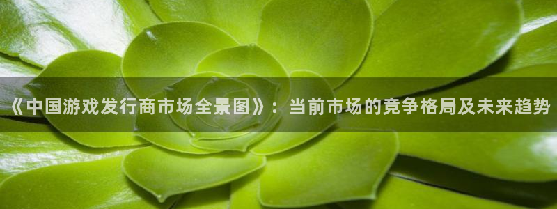 tp钱包有风险吗安全吗