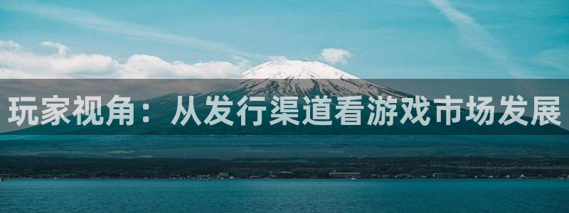 tplogin下载：玩家视角：从发行渠道看游戏市场发展